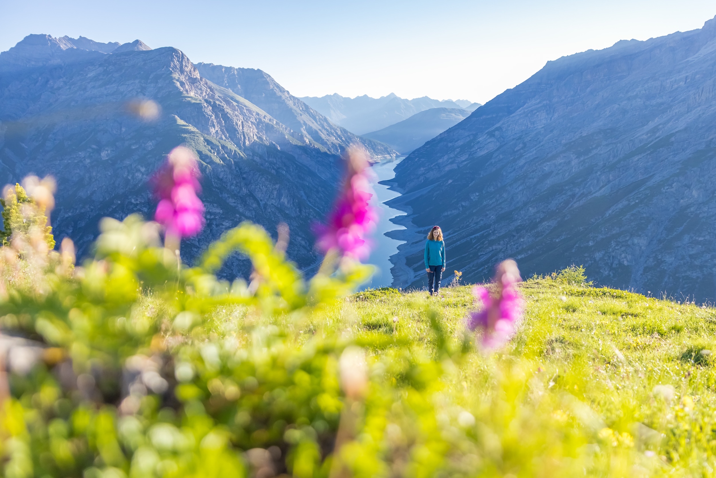 Nicole Meyer Communications